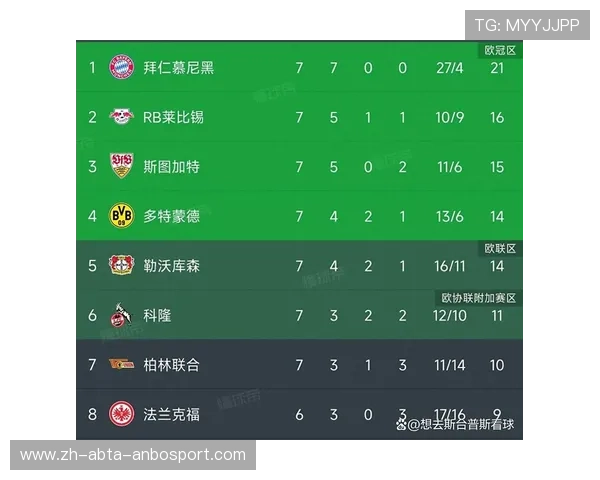 解读德甲“药厂”球队的绰号由来与实际战力表现